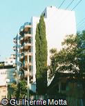 Cupressus sempervirens
